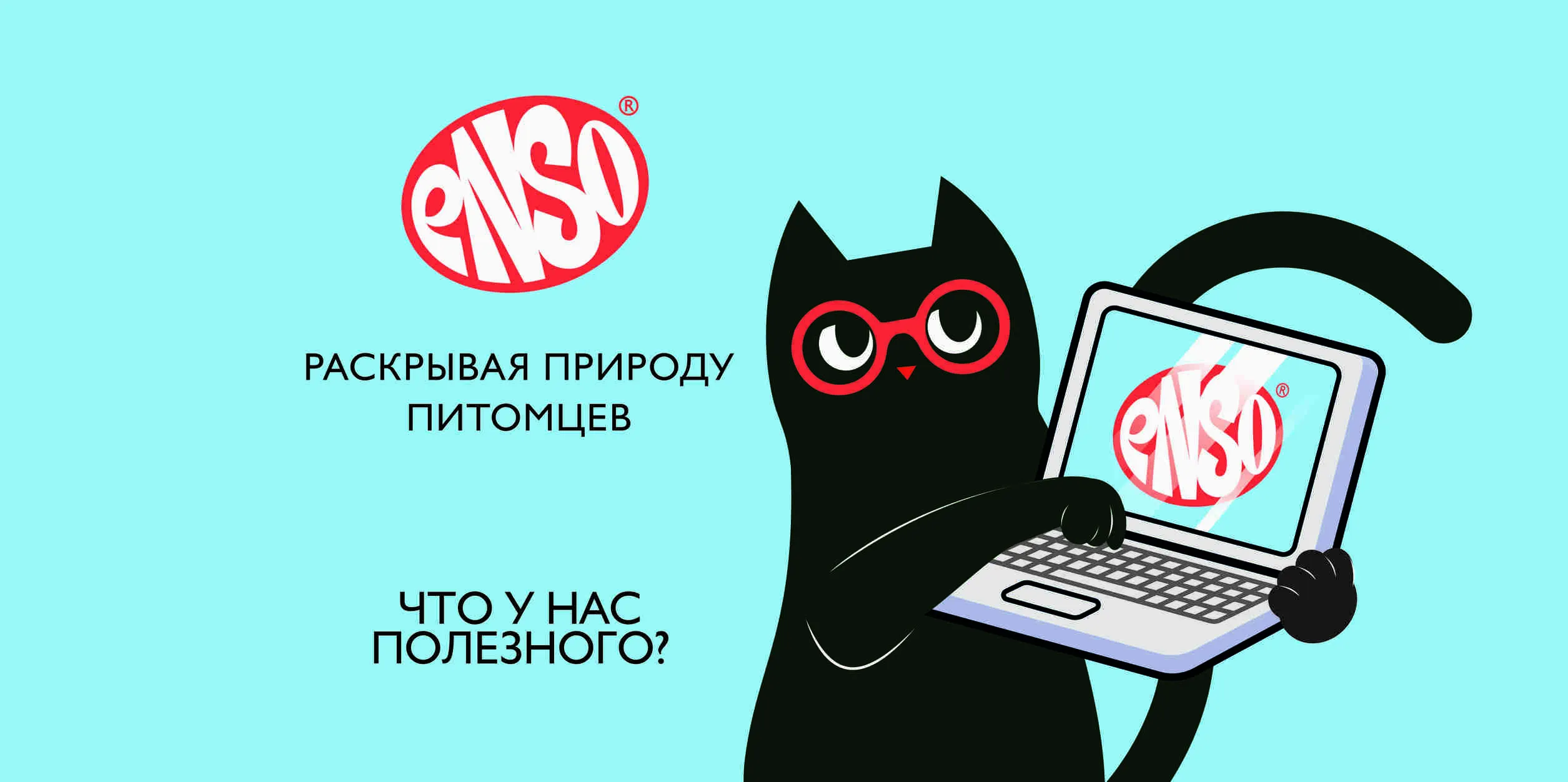 Добавки в рационах ENSO для кошек