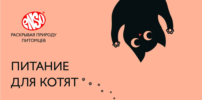 Нужно ли котятам молоко?