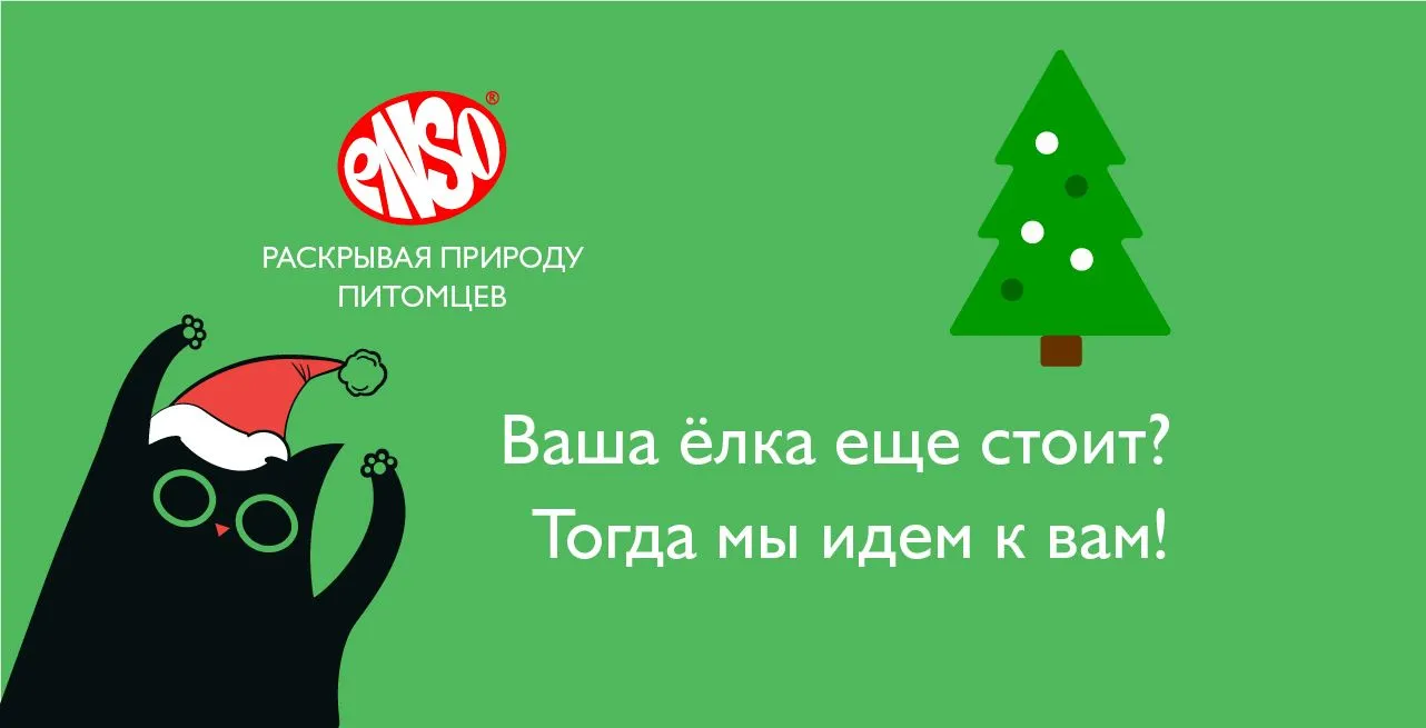 Котики и новый год