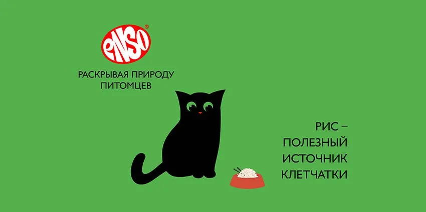 Зачем в паучах ENSO® рис?