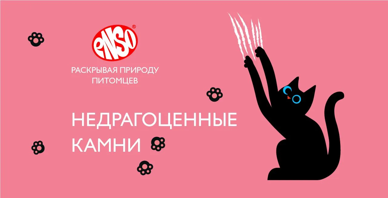 МКБ – причины и профилактика