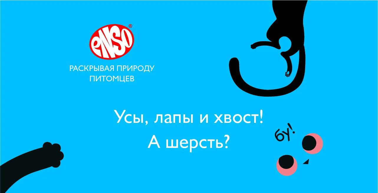 Здоровая кожа и красивая шерсть 