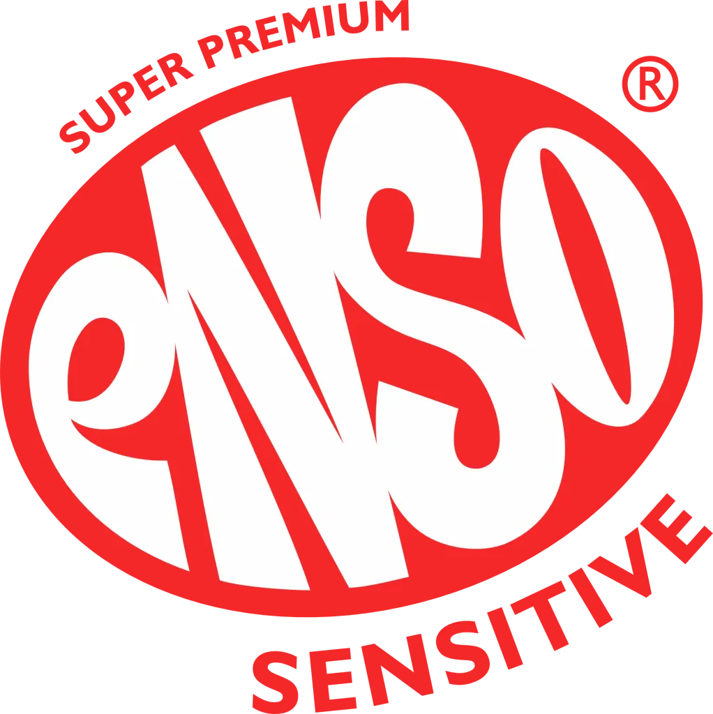 Enso_logo_new.png