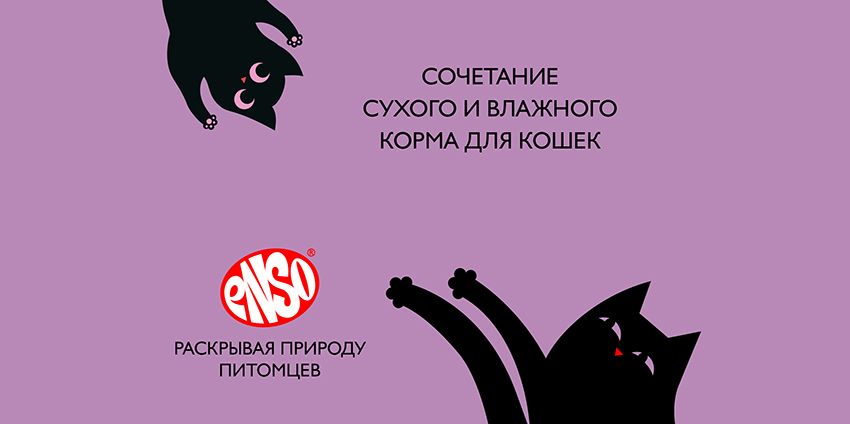 Сухой или влажный?