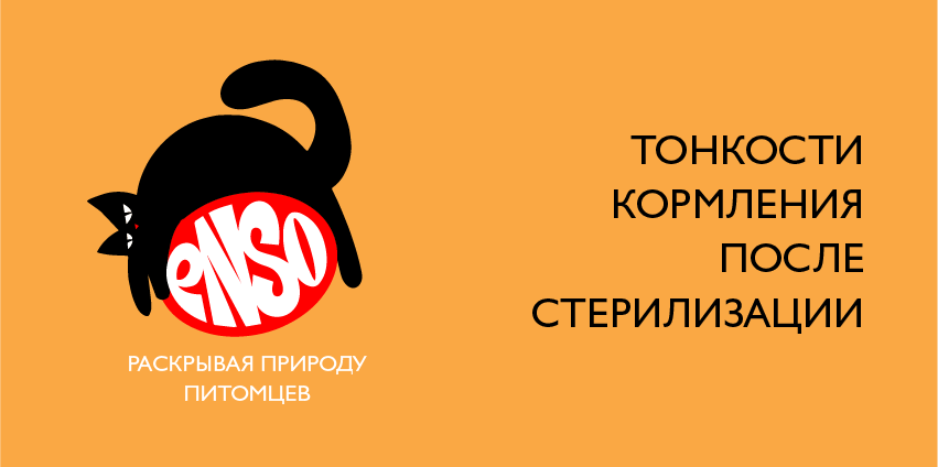 Стерилизация? Особенности рациона после Стерилизация? Особенности рациона после