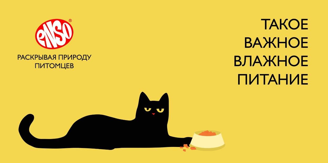 Необходимость влажного корма в рационе кошек Необходимость влажного корма в рационе кошек