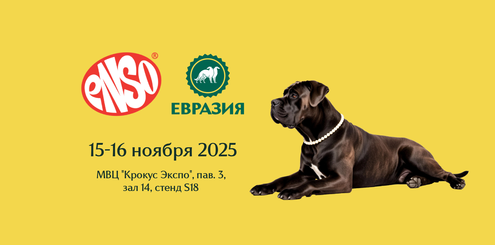 Приглашаем на стенд ENSO в рамках выставки собак "Евразия 2025"