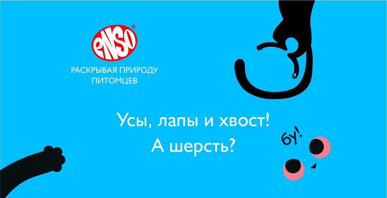 Здоровая кожа и красивая шерсть Здоровая кожа и красивая шерсть