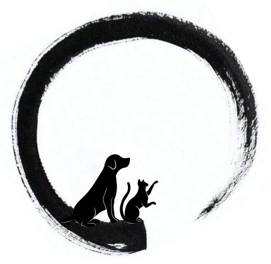 handled_IMG_4053_1080_1920_80 (1).jpg